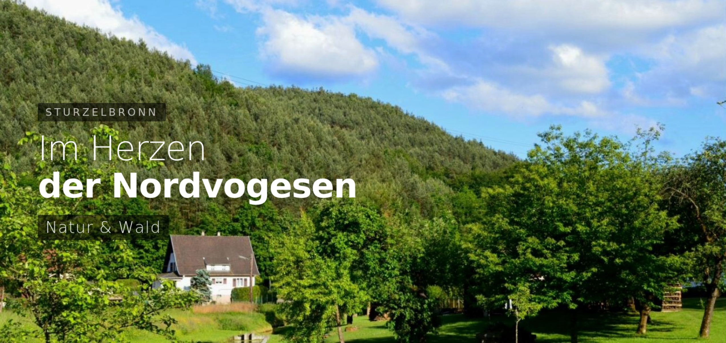 Ferienhaus Sturzelbronn im Herzen der Nordvogesen – Natur und Wald