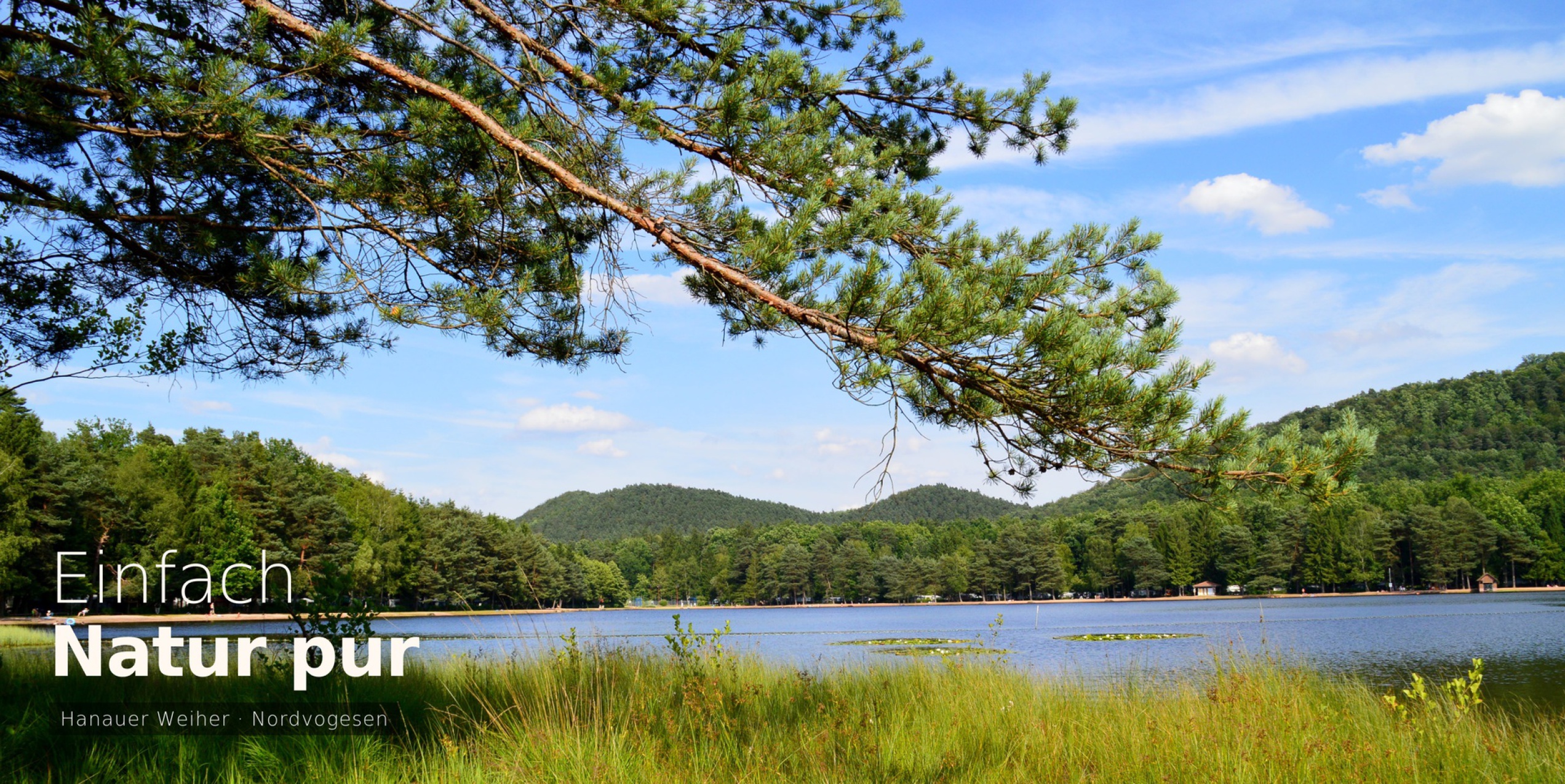 Hanauer Weiher See – Wandern und Baden in den Nordvogesen nahe Sturzelbronn
