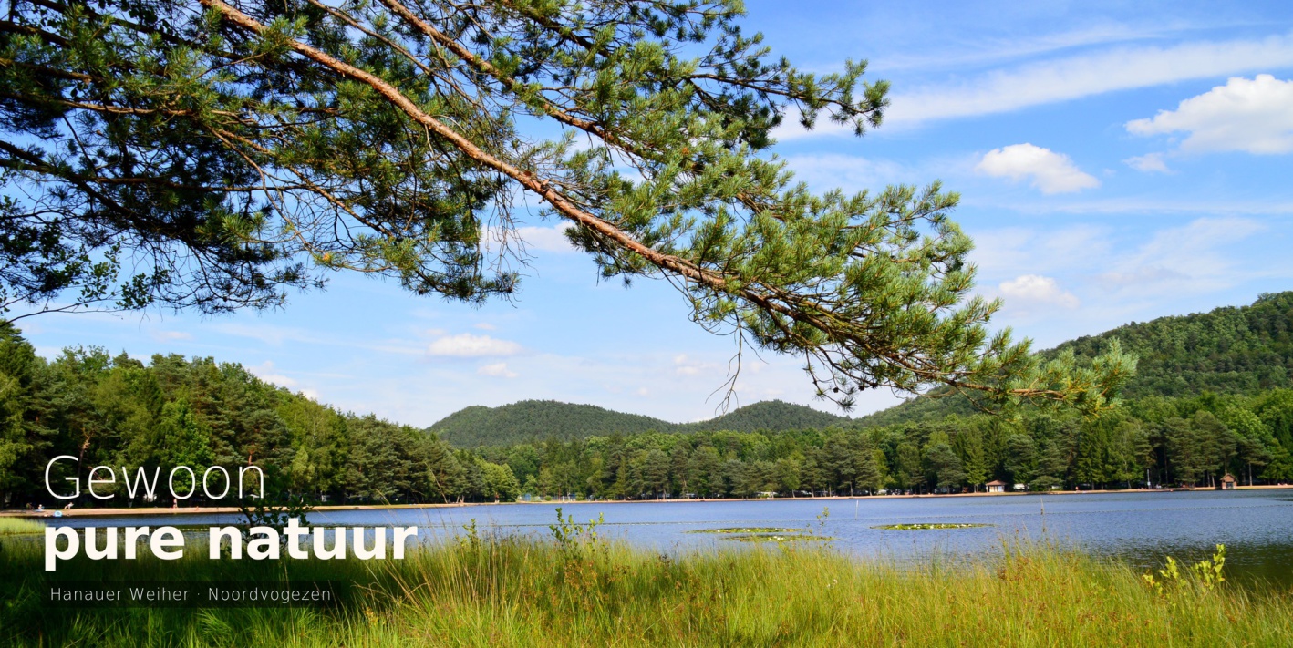 Hanauer Weiher meer – wandelen en zwemmen in de Noordvogezen nabij Sturzelbronn