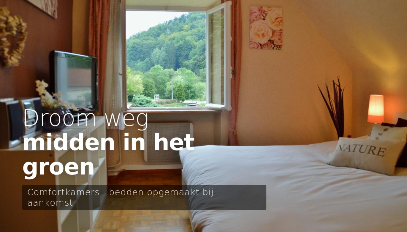 Comfortkamer met bosblick – 4-sterren vakantiehuis Sturzelbronn Noordvogezen