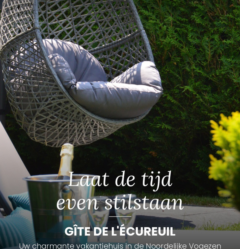 Natuur vakantiehuis in het hart van de noordelijke Vogezen in Moselle / Elzas met een privézwembad en jacuzzi in de tuin