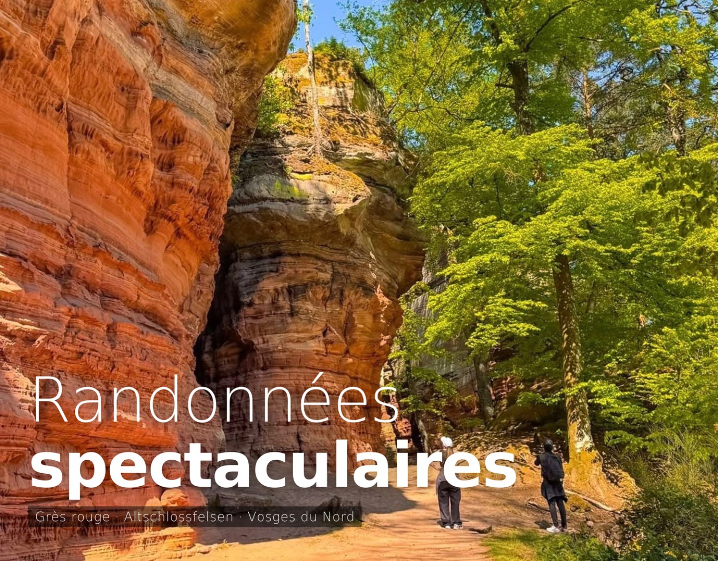 Altschlossfelsen rocher grès rouge – randonnée spectaculaire Vosges du Nord près de Sturzelbronn