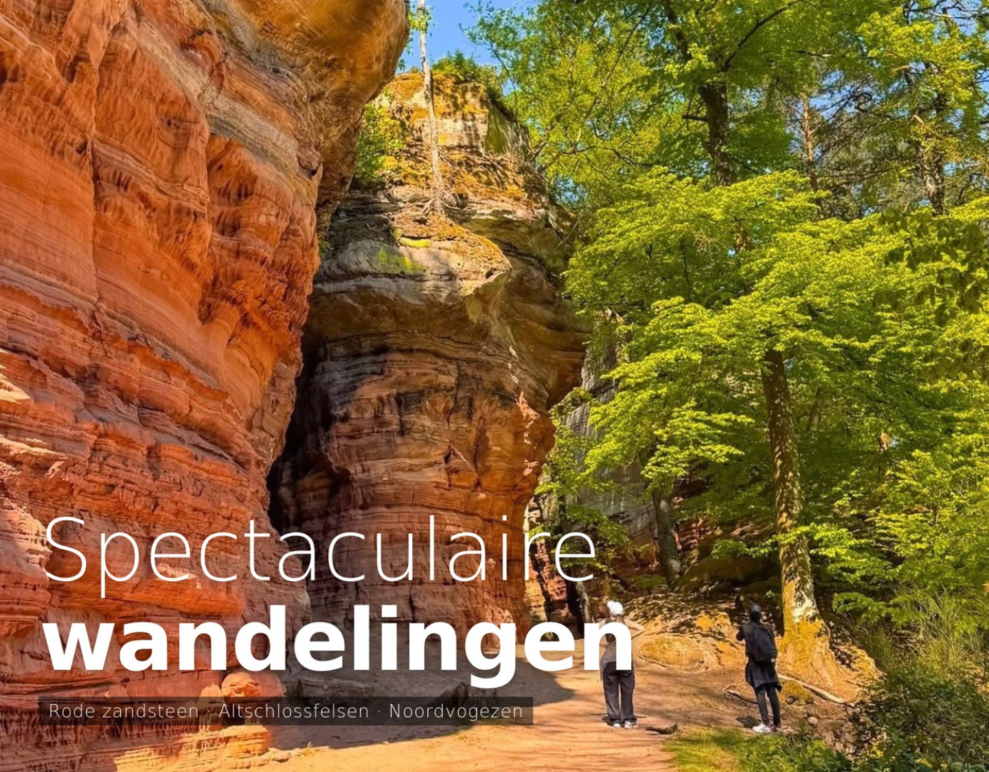 Altschlossfelsen rode zandsteen – spectaculaire wandeling Noordvogezen bij Sturzelbronn