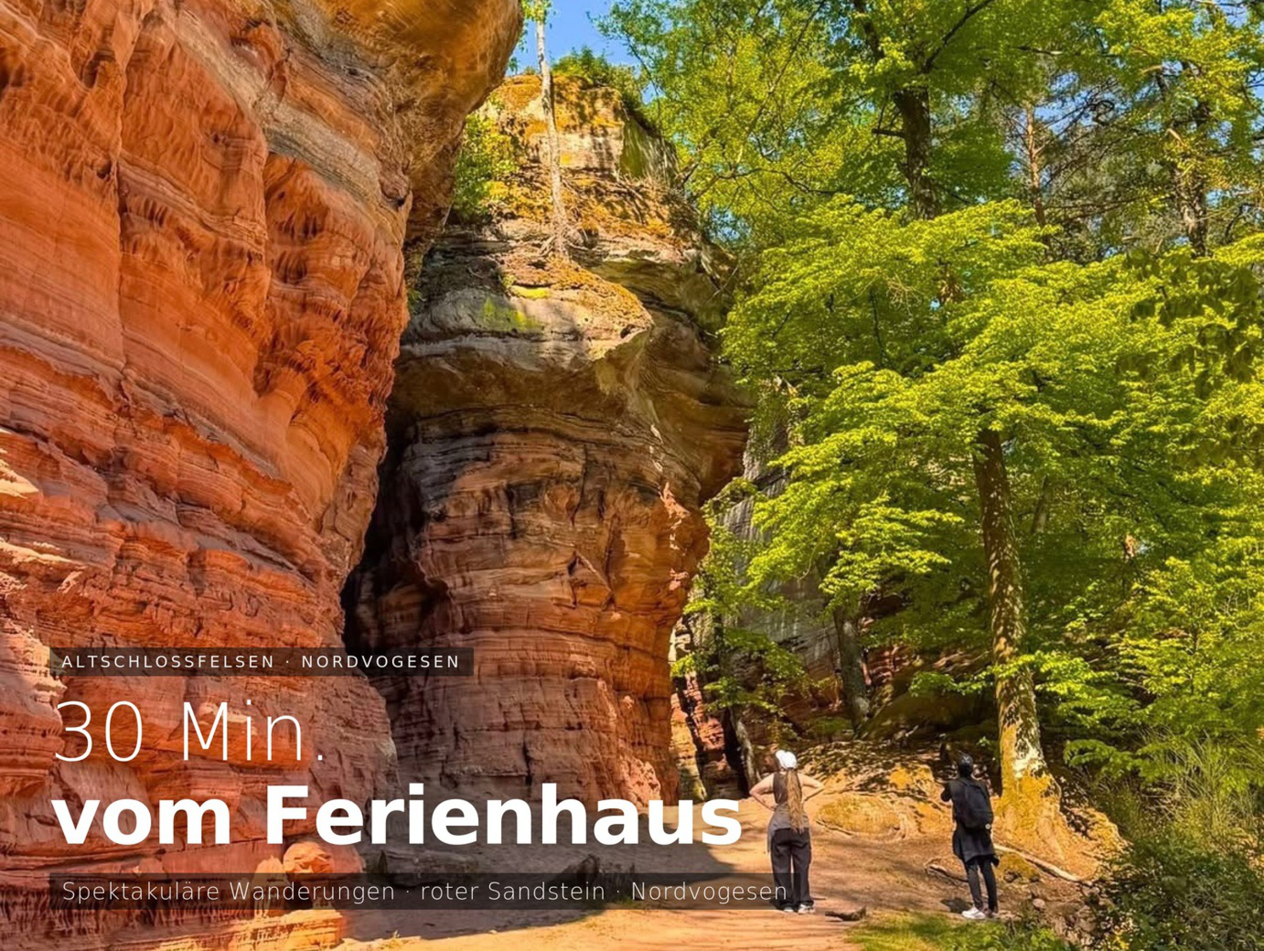 Altschlossfelsen roter Sandstein – spektakuläre Wanderung in den Nordvogesen bei Sturzelbronn
