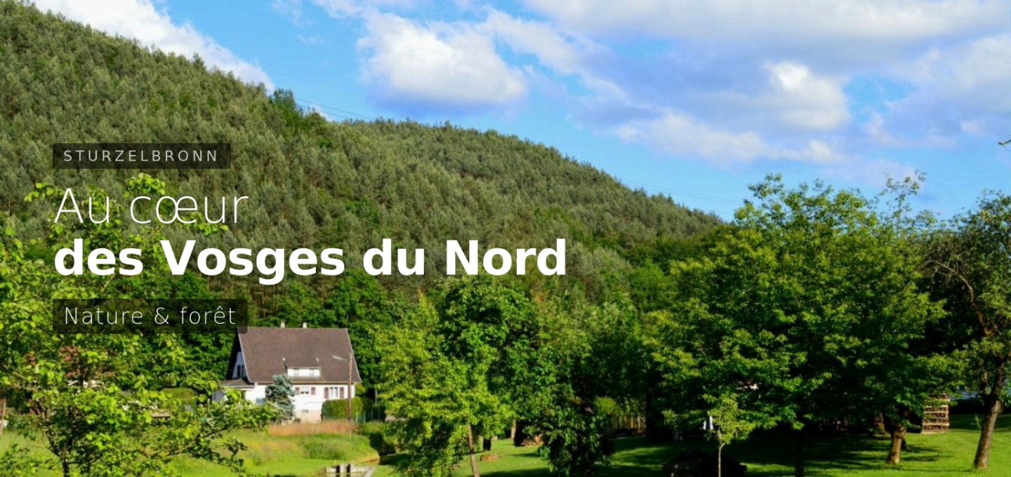 Sturzelbronn · Vosges du Nord Gîte piscine privée 6 personnes · Alsace-Moselle